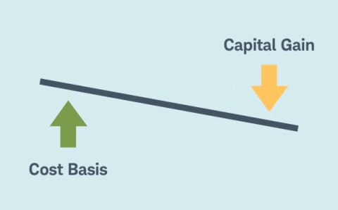 Investment income taxes